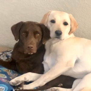 Meet your Posher, Jason